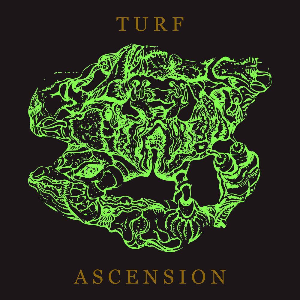 Bubblemath - Turf Ascension Music CD