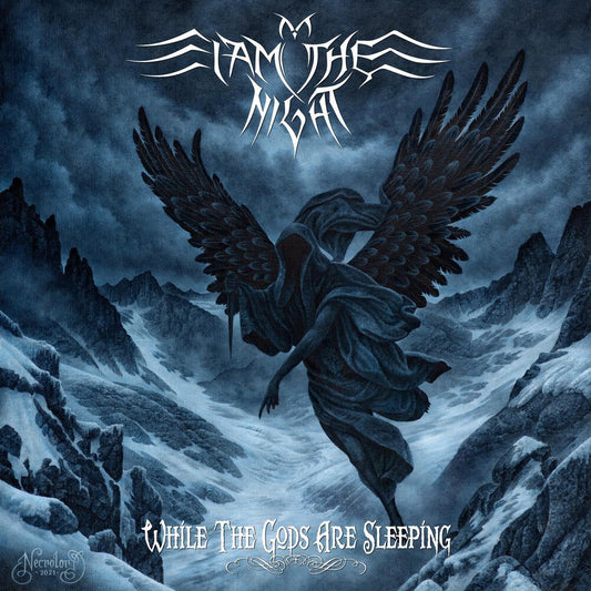 I Am the Night - While The Gods Are Asleep [LP] Vinyl Record