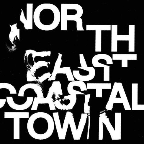 Life - North East Coastal Town - Vinyl Record