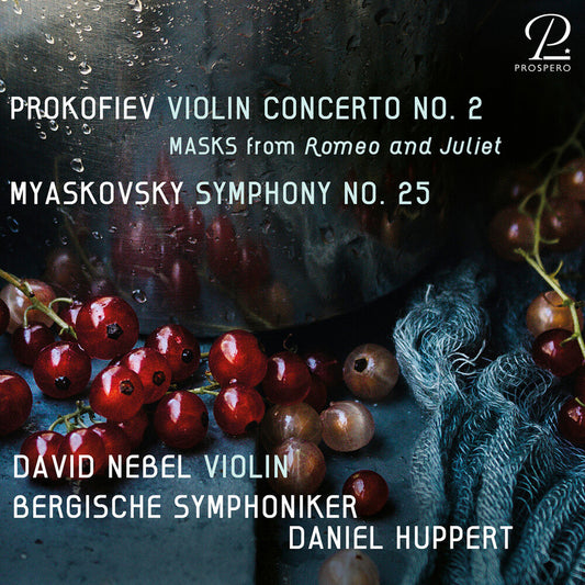 Myaskovsky / Bergische Sinfoniker / Nebel - Symphony 25 Music CD