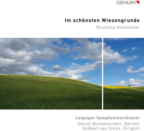 Mendelssohn / Leipziger Symphonieorchester - Im Schonsten Wiesengrunde - Music CD