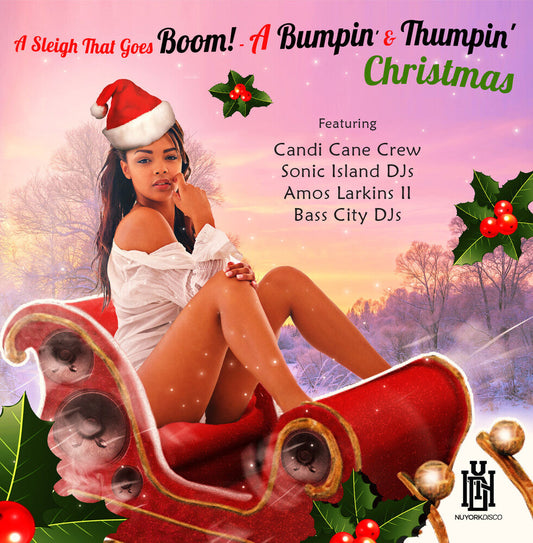 Various Artists - Sleigh That Goes Boom! - A Bumpin' & Thumpin' Chri [CD]