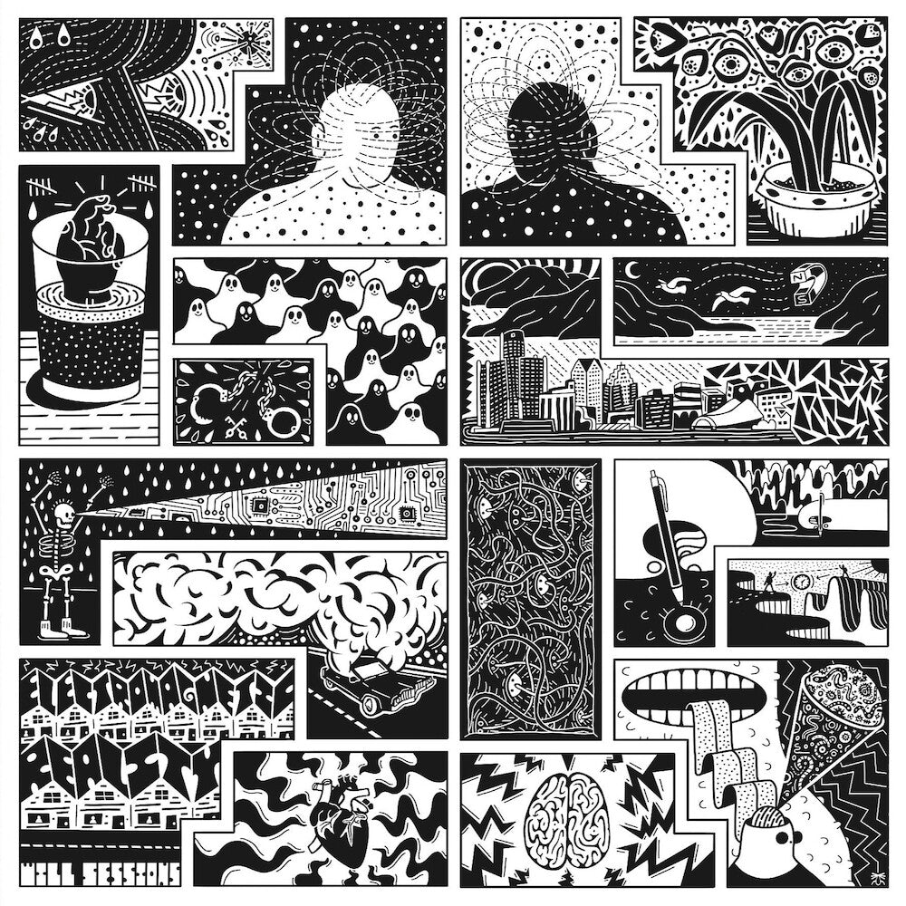 Will Sessions - Electromagnetic Reality [CD]