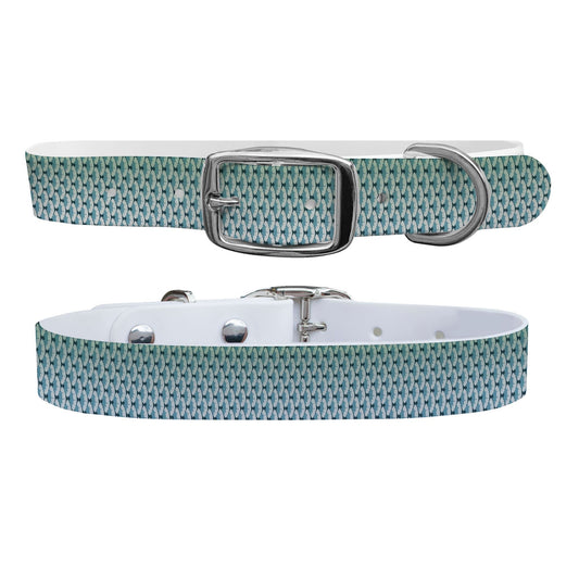 CP - King Scales Dog Collar