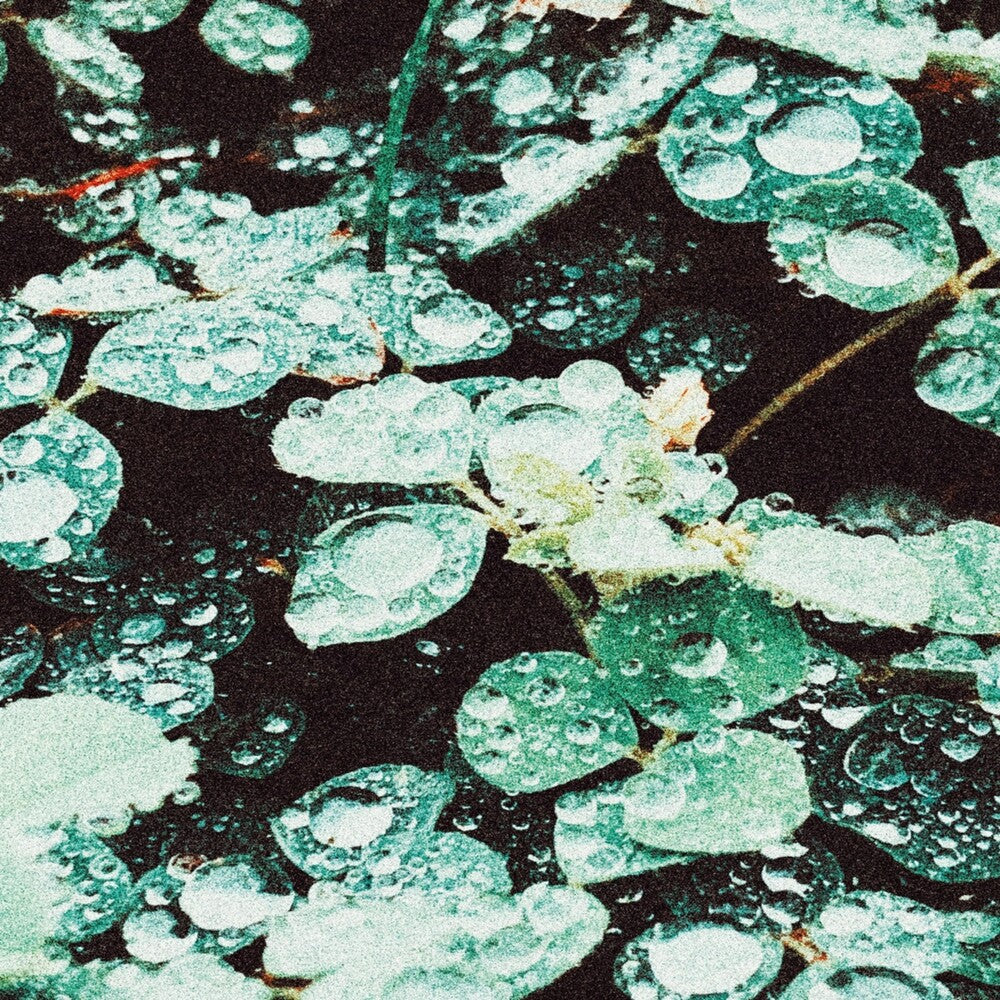 Sadness - Rain Chamber Music CD