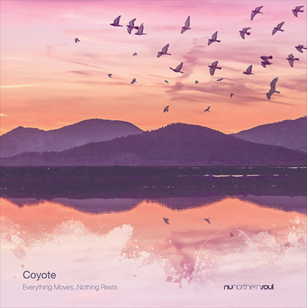 COYOTE - Everything Moves Nothing Rests [LP] Vinyl Record