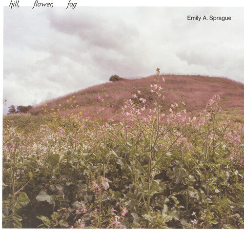 Sprague,emily A - Hill Flower Fog - Foggy White - Vinyl Record