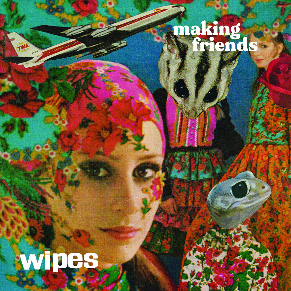 Wipes - Making Friends [LP] Vinyl Record