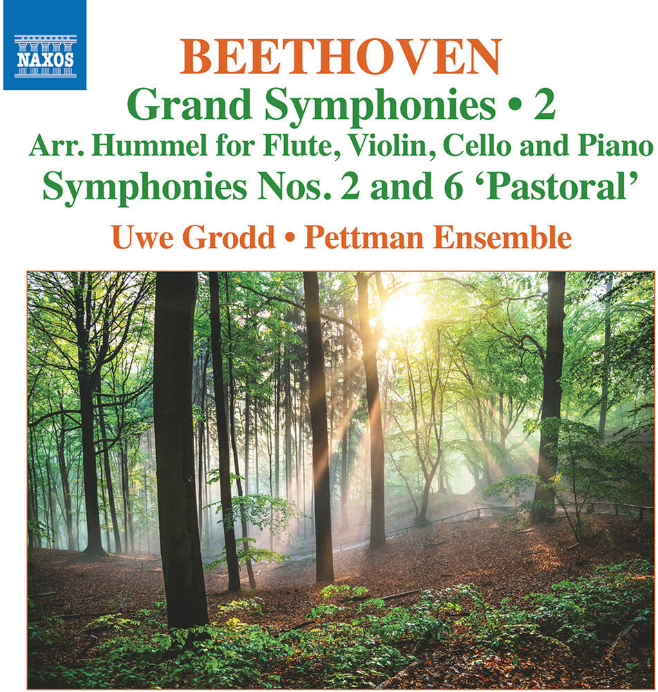 Beethoven / Grodd / Pettman Ensemble - Grand Symphonies Vol 2 - Nos 2 & 6 Music CD