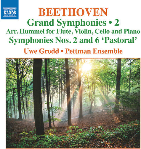 Beethoven / Grodd / Pettman Ensemble - Grand Symphonies Vol 2 - Nos 2 & 6 - Music CD