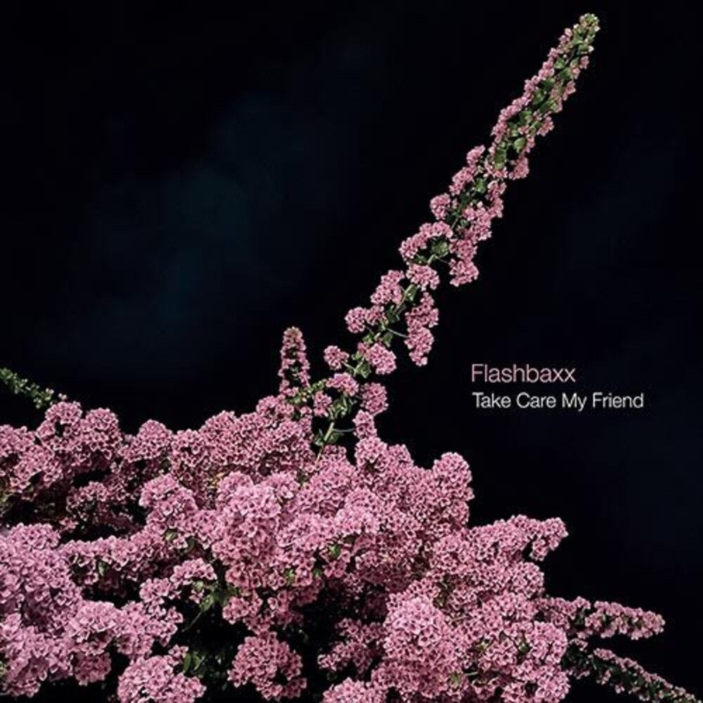 Flashbaxx - Take Care My Friend [LP] Vinyl Record