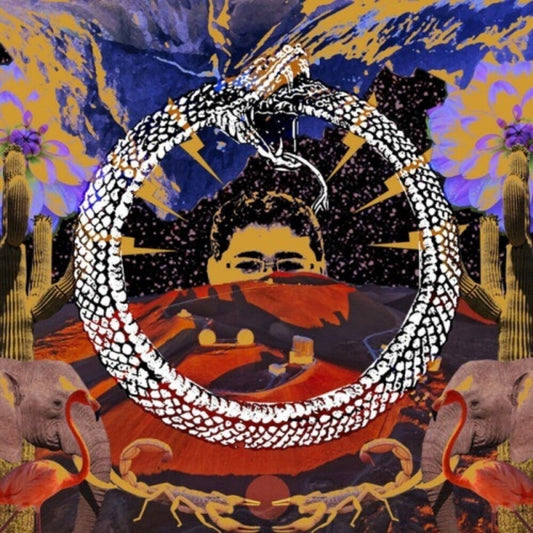 Stone House on Fire - Neverending Cycle [LP] Vinyl Record