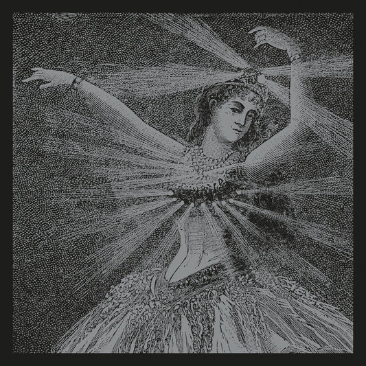 Neutral Milk Hotel - The Collected Works Of Neutral Milk Hotel [LP Box Set] Vinyl Record