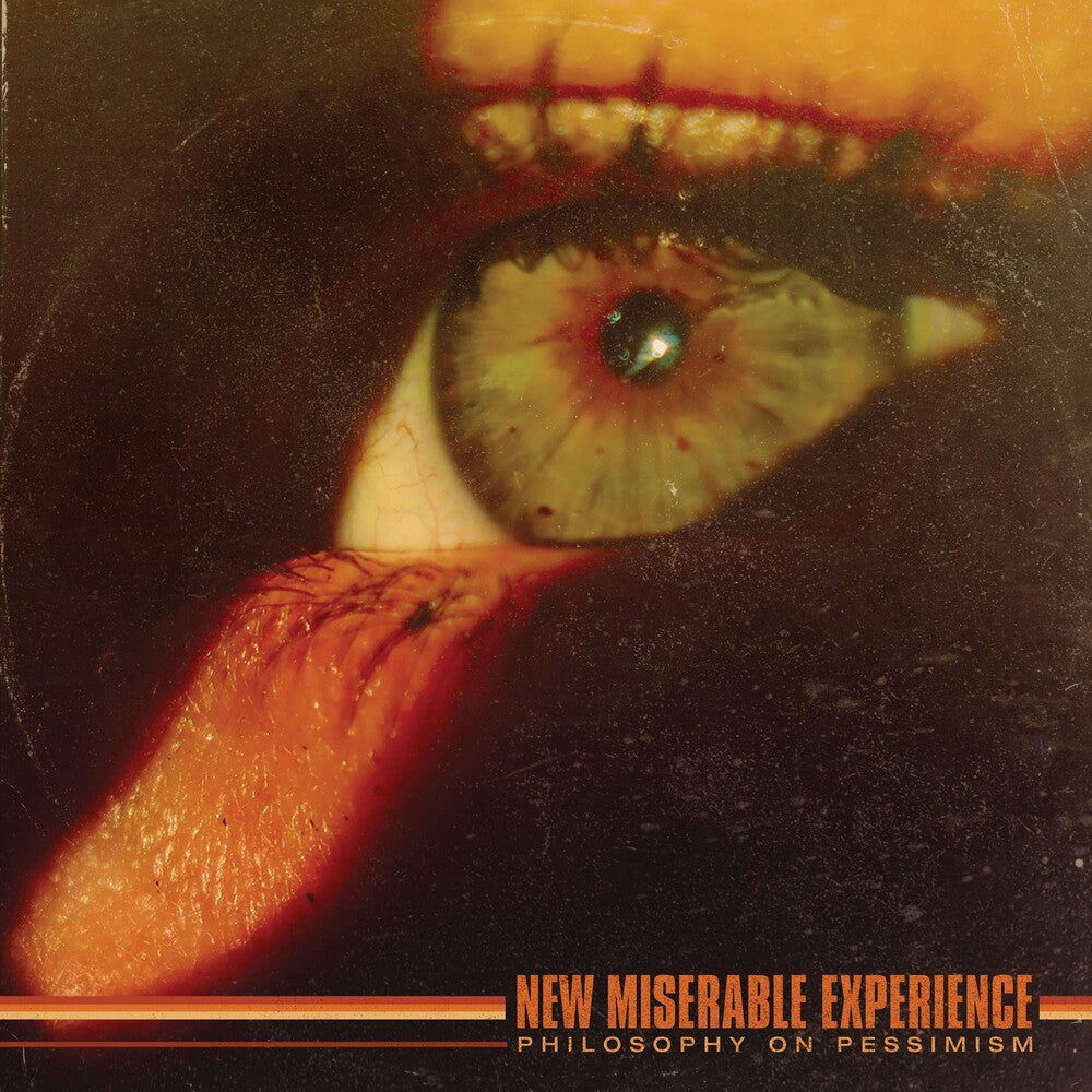 New Miserable Experience - Philosophy On Pessimism [LP] Vinyl Record