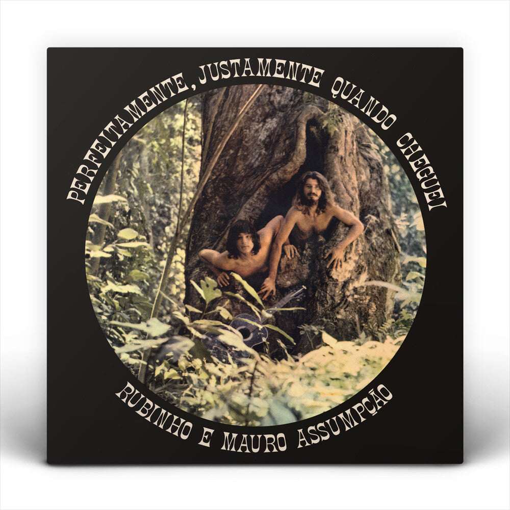 Rubinho E Mauro Assumpçao - Perfeitamente Justamente Quando Cheguei [LP] Vinyl Record