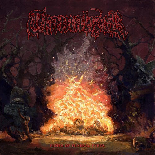 Tramalizer - Fumes Of Funeral Pyres - Vinyl Record