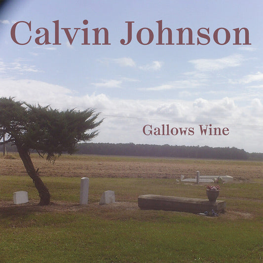 Calvin Johnson - Gallows Wine [LP] Vinyl Record