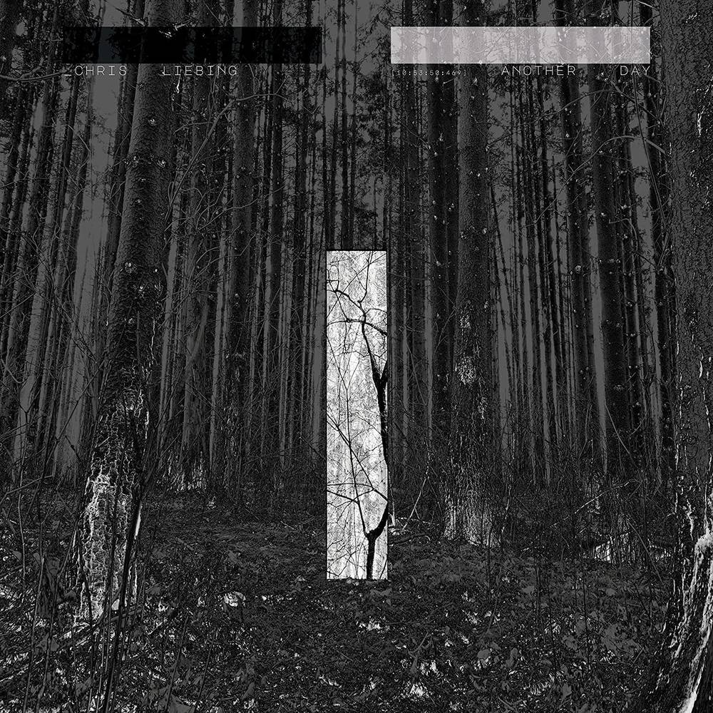 Chris Liebing - Another Day [LP] Vinyl Record