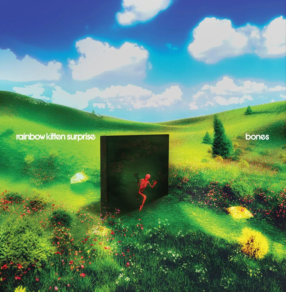 Rainbow Kitten Surprise - bones [CD]