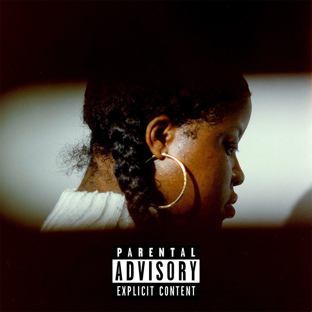 Che Noir & The Other Guys - No Validation [LP]