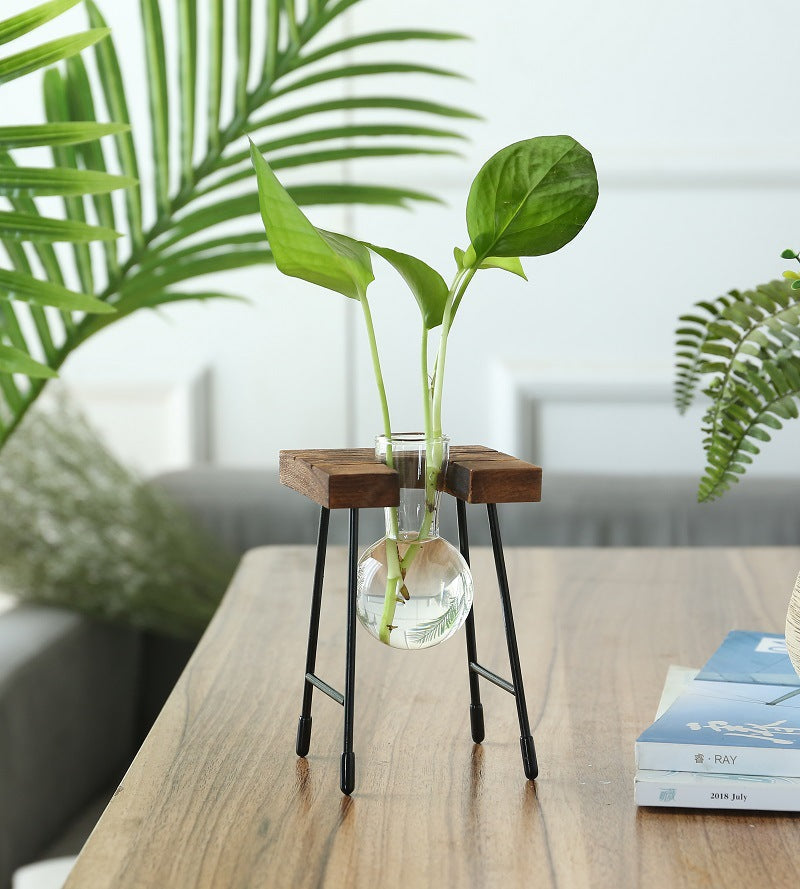 Desktop Vintage Plant Terrarium & Propagation Station