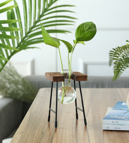 Desktop Vintage Plant Terrarium & Propagation Station