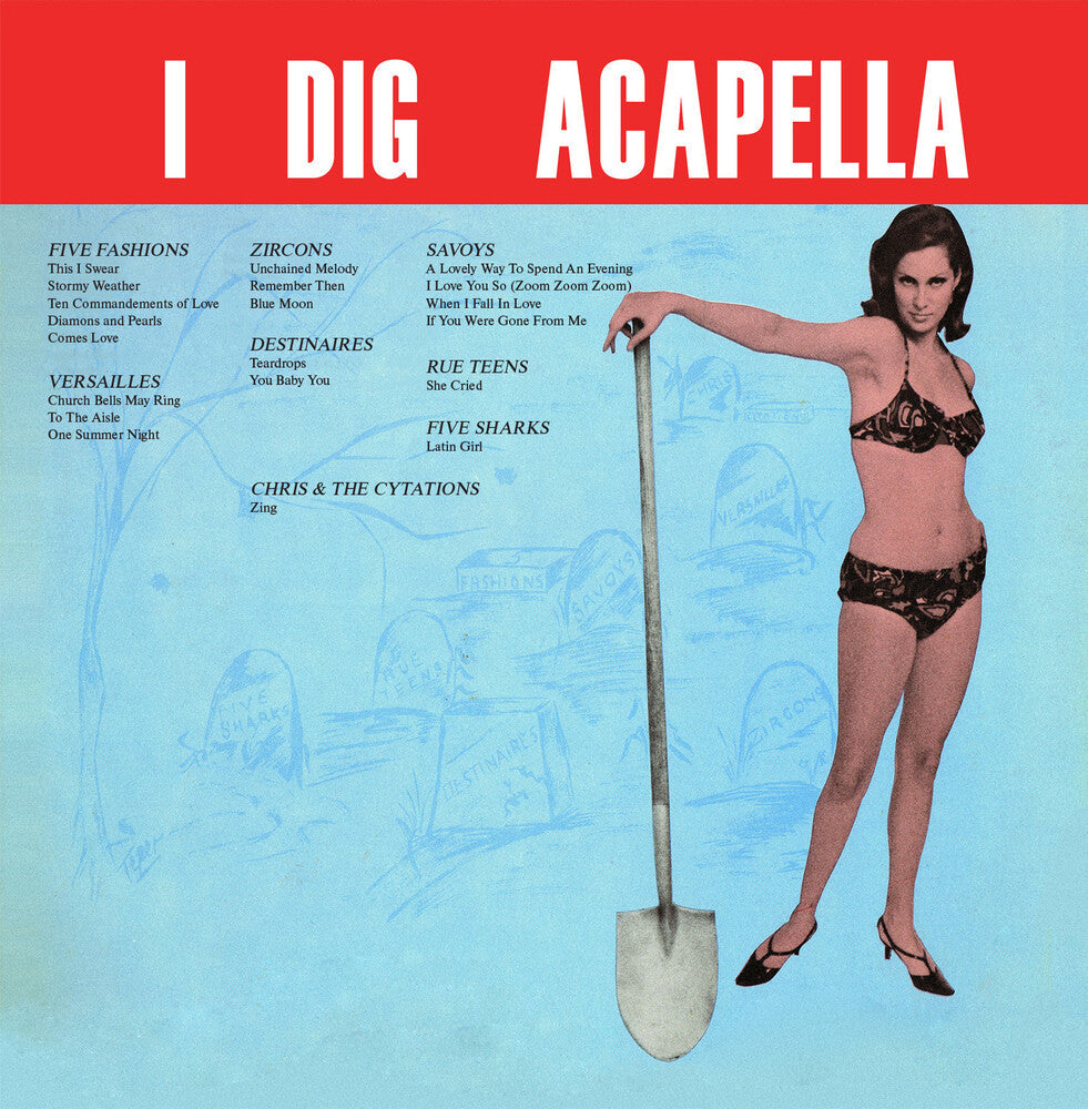 Various Artists - IDigAcappella(2023Remaster) [CD]