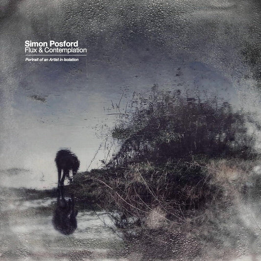 Simon Posford - Flux & Contemplation: Portrait Of An Artist In Isolation [2 LP] Vinyl Record
