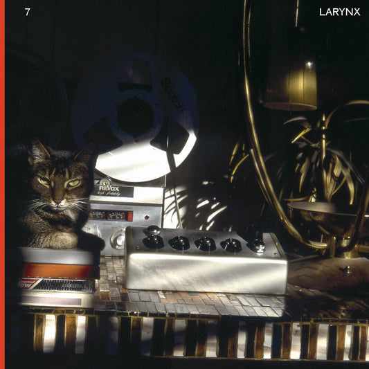 Lary 7 - Larynx [2LP] Vinyl Record