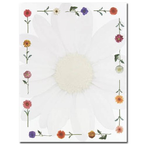 Great Papers! Daisies Letterhead (100 Sheets)
