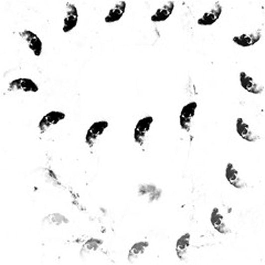 Monolithe Noir - Moira [LP] Vinyl Record