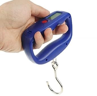 Portable Precision Mini 50kg / 10g Portable Electronic Scale Luggage Hook Scale Spring Scale, Suitable for Various Scenes