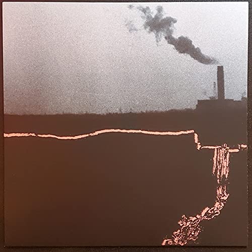 Goodbye Suit - Within Walls Without Windows [LP] Vinyl Record