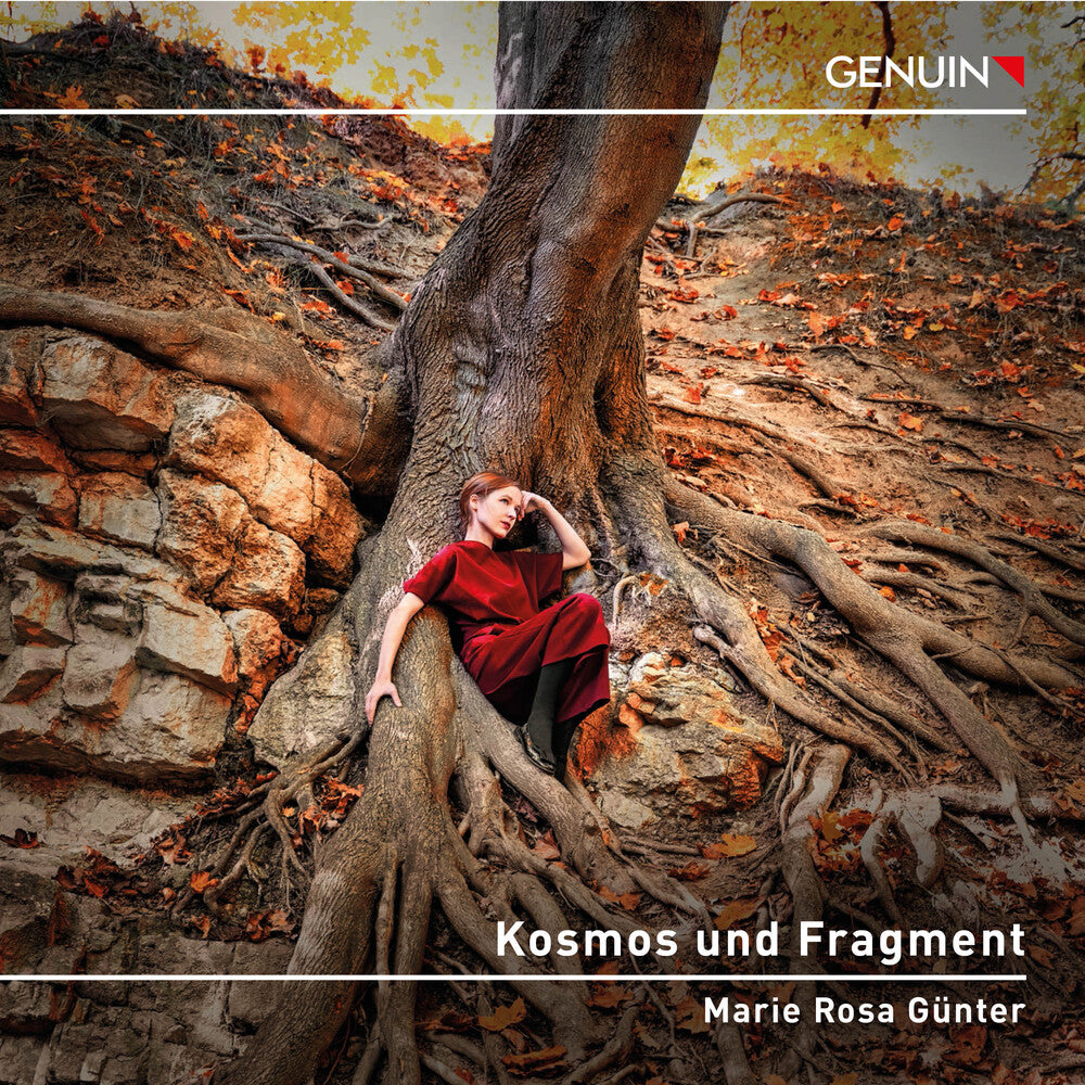 Kallmeyer / Webern / Beethoven - Kosmos Und Fragment [CD]