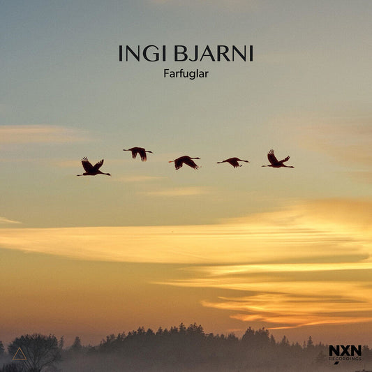 Ingi Skulason  Bjarni - Farfuglar [CD]