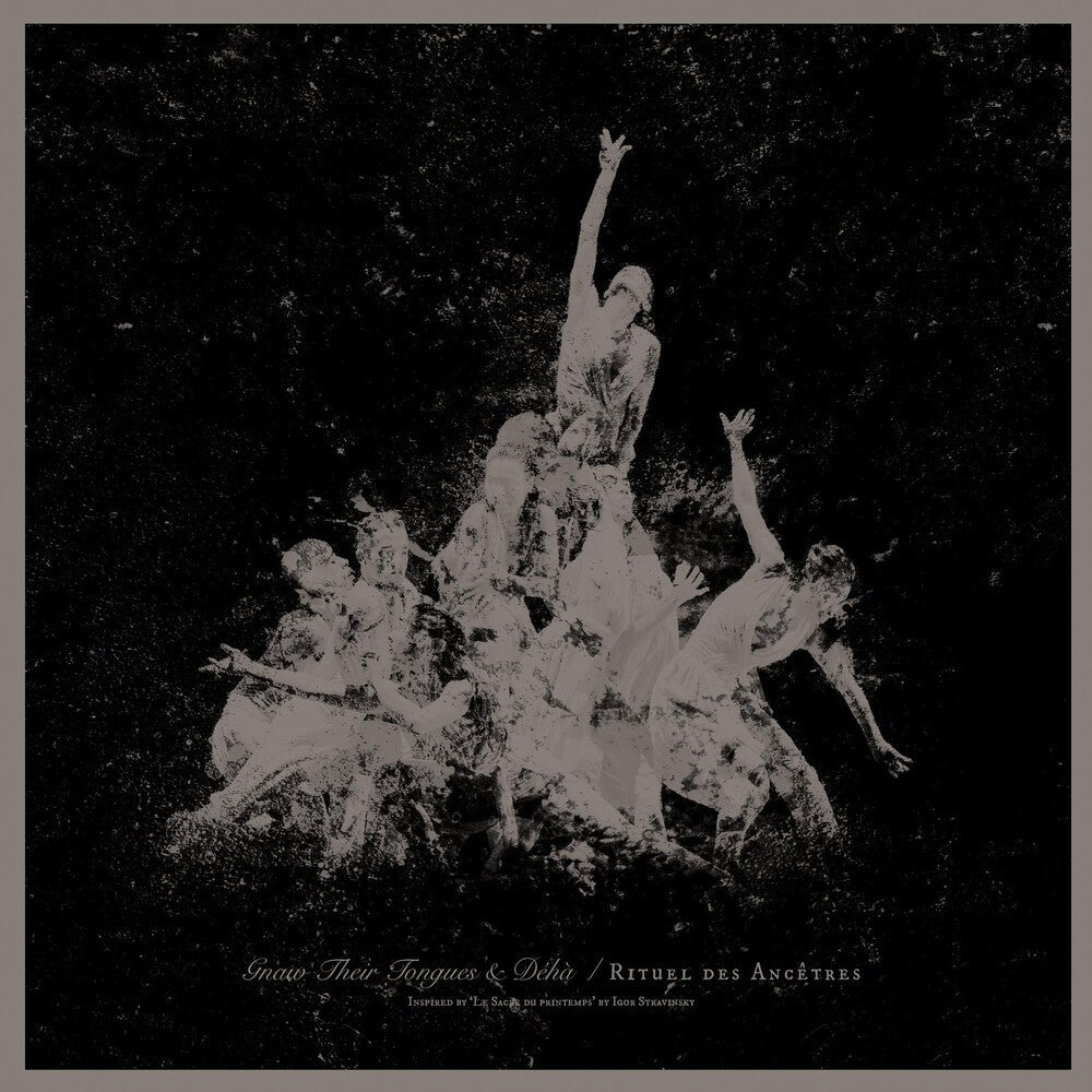 Gnaw Their Tongues / Deha - Rituel Des Ancetres [LP] Vinyl Record
