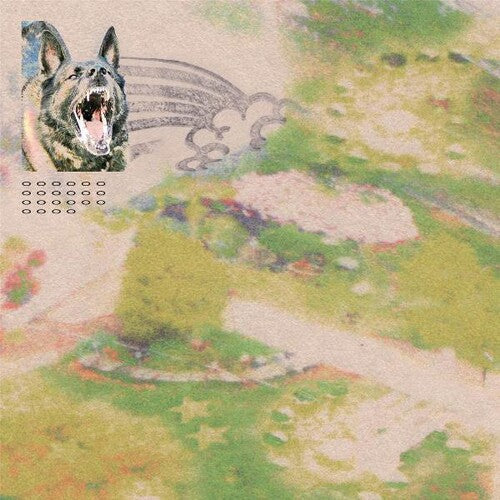 Feeble Little Horse - Girl With Fish - Vinyl Record