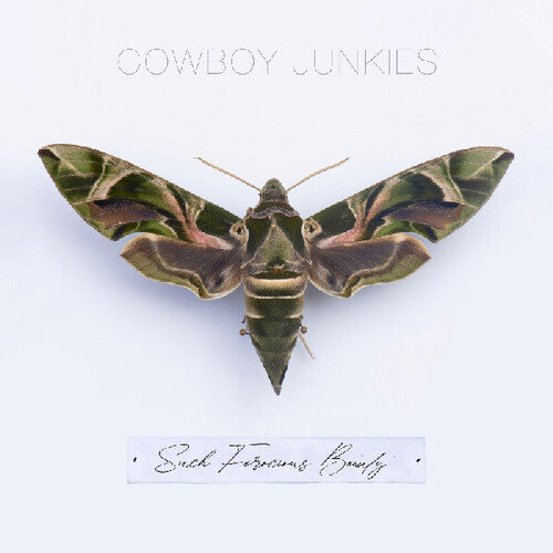 Cowboy Junkies - Such Ferocious Beauty - Music CD