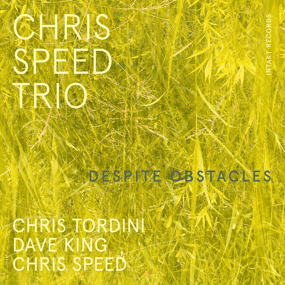 Chris Speed - Despite Obstacles Music CD