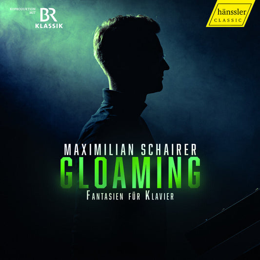 Beethoven / Mendelssohn / Schubert / Schairer - Fantasien Fur Klavier [CD]