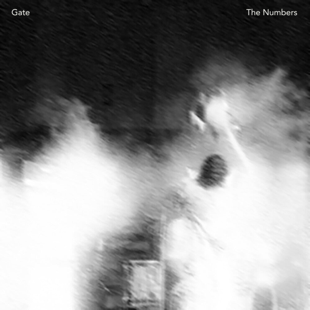 Gate - Numbers [LP] Vinyl Record