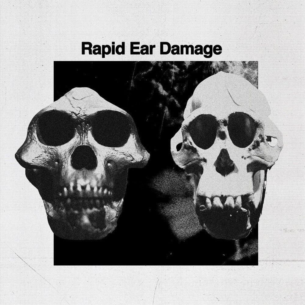 Rapid Ear Damage - R.E.D. [LP] Vinyl Record
