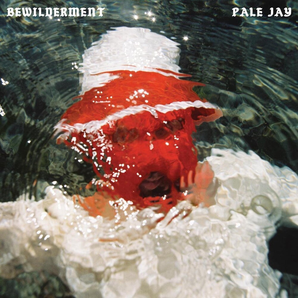Pale Jay - Bewilderment [CD]