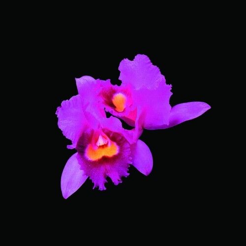 Opeth - Orchid - Music CD