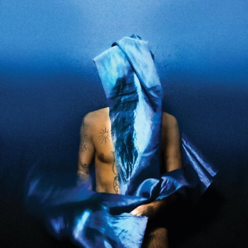Devendra Banhart - Flying Wig Music CD
