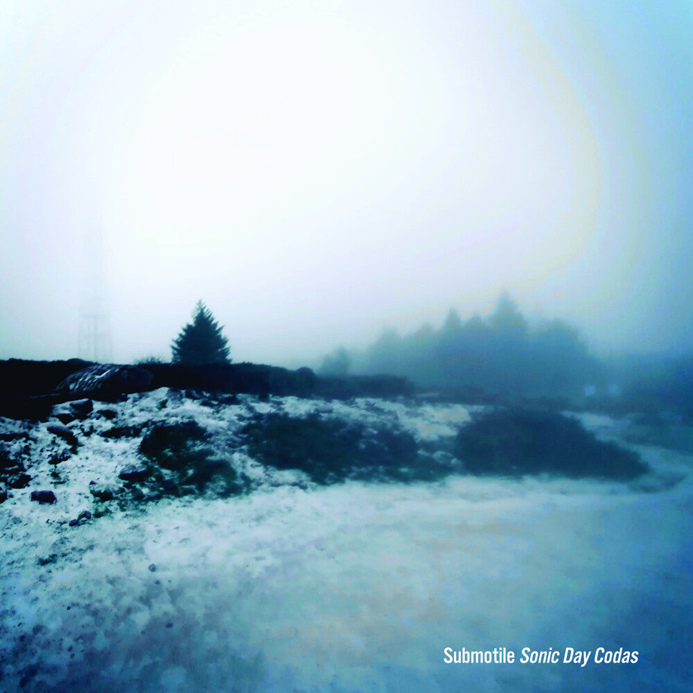 Submotile - Sonic Day Codas [LP] Vinyl Record