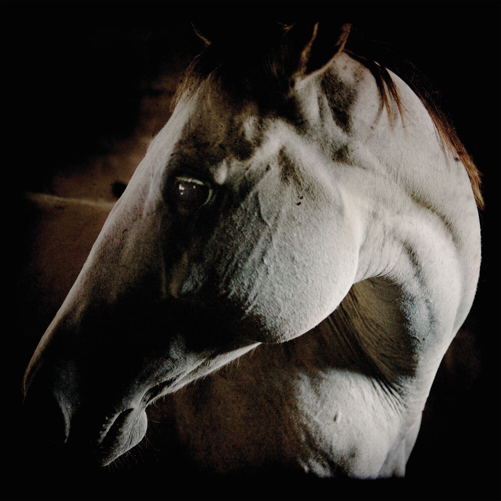 Brother Dege - How To Kill A Horse [Digipak]