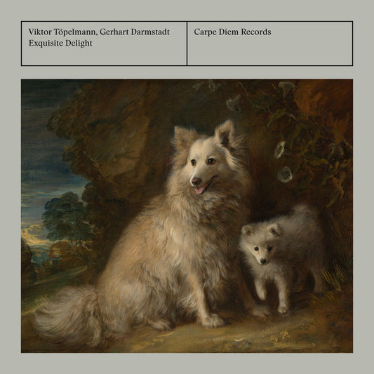 Abel / Hammer / Darmstadt - Exquisite Delight [CD]