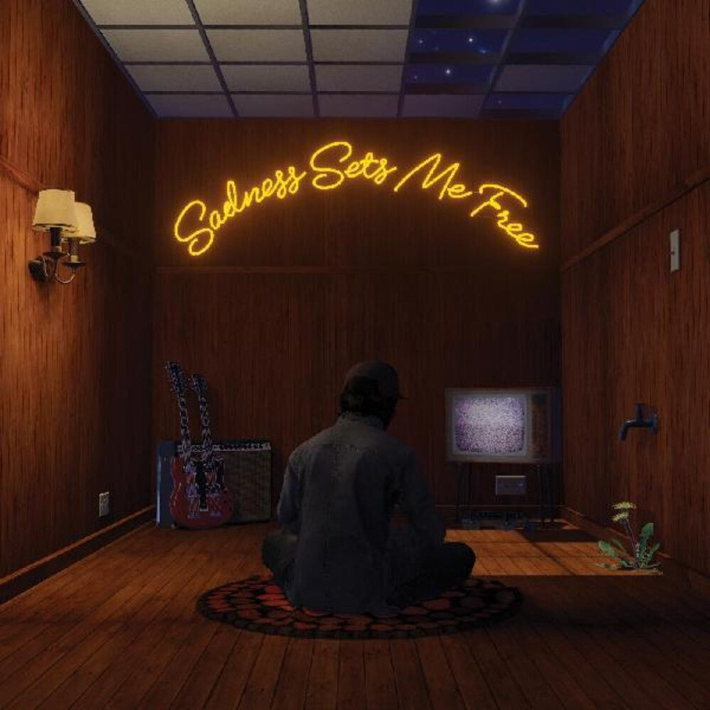 Gruff Rhys - Sadness Sets Me Free [LP] Vinyl Record