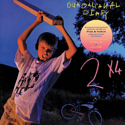 Guadalcanal Diary - 2 X 4 - Pink/yellow Swirl - Vinyl Record